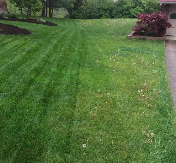 cincinnati-lawn-care123